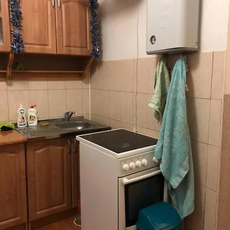 закарпатський струмок Nizhniy Studenyy