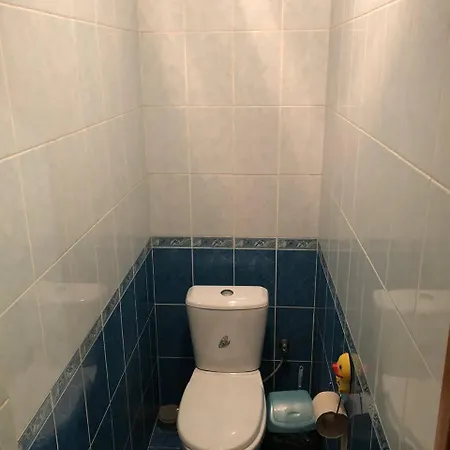 закарпатський струмок Ξενοδοχείο με διαμερίσματα *