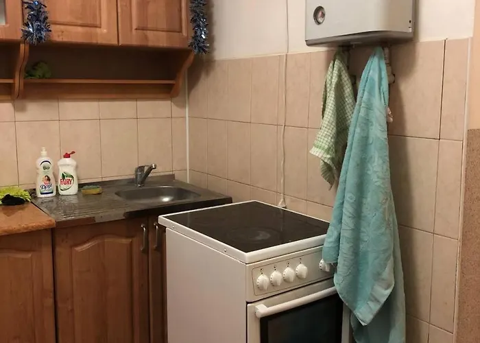 закарпатський струмок Nizhniy Studenyy