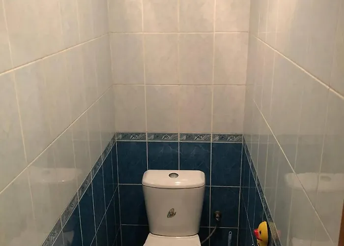 закарпатський струмок מלון דירות *