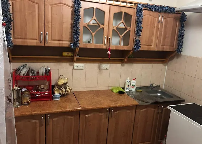 מלון דירות закарпатський струмок *